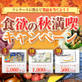 【食欲の秋満喫キャンペーン】新規応募プログラム☆