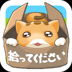 捨て猫レスキュー