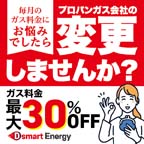 Dsmart　Energy【インセ用ID】
